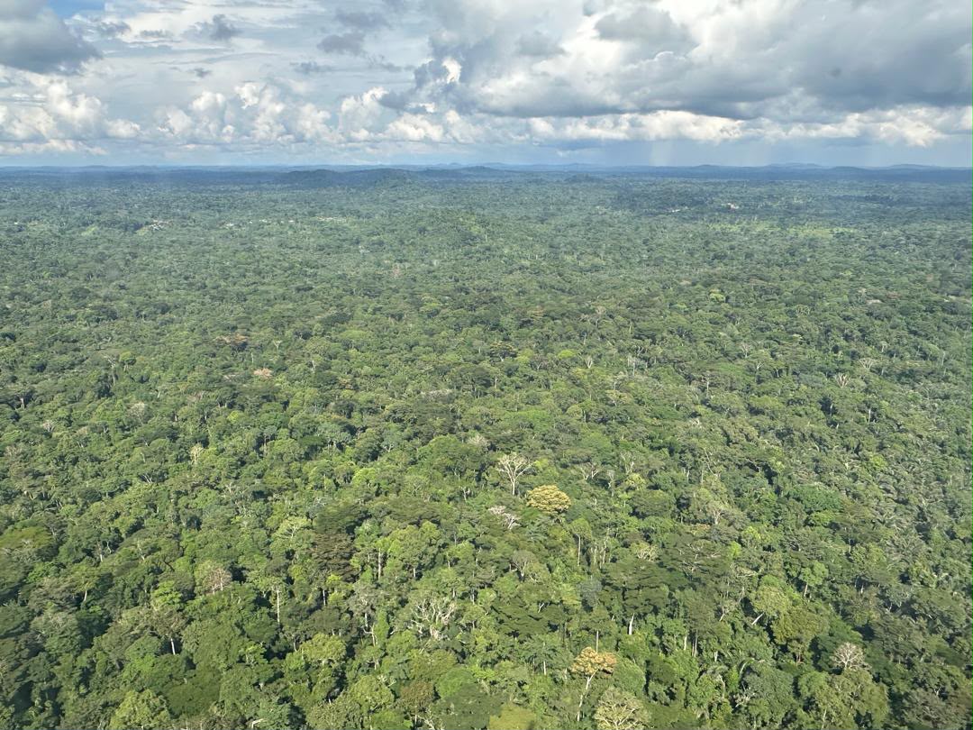 Community leader in the rainforest